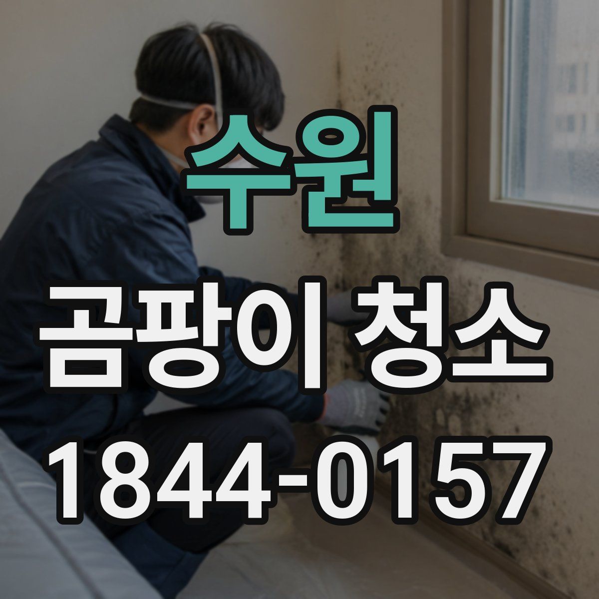 수원 곰팡이 청소