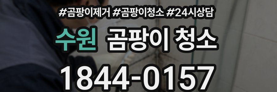 수원 곰팡이 청소