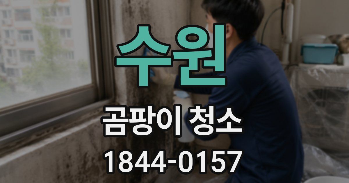 수원 곰팡이 청소