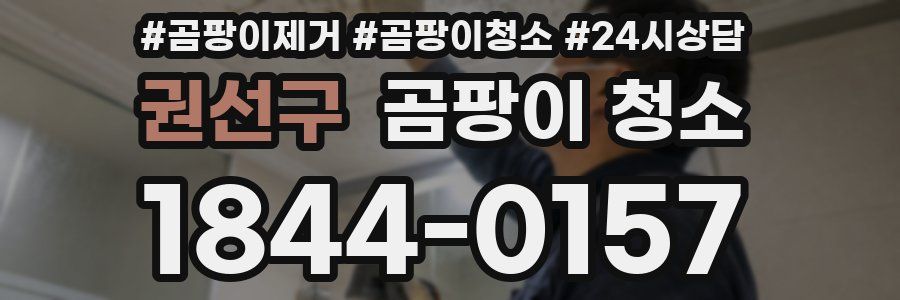 권선구 곰팡이 청소