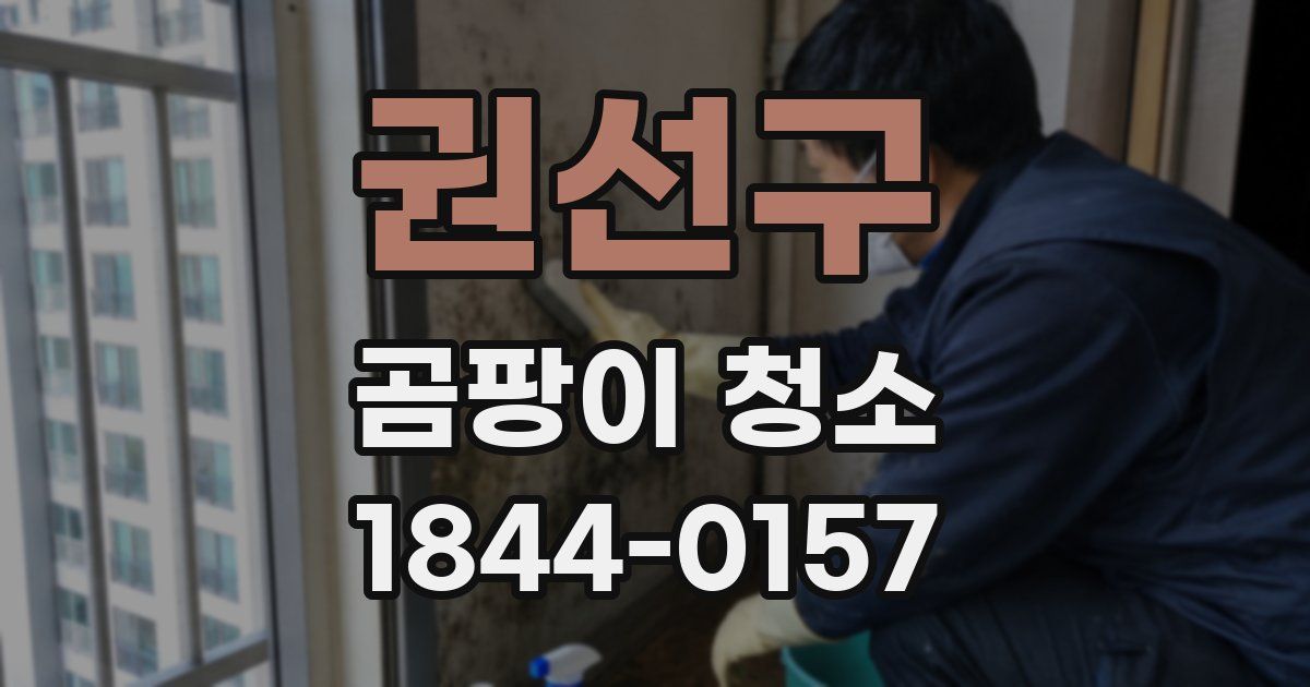 권선구 곰팡이 청소