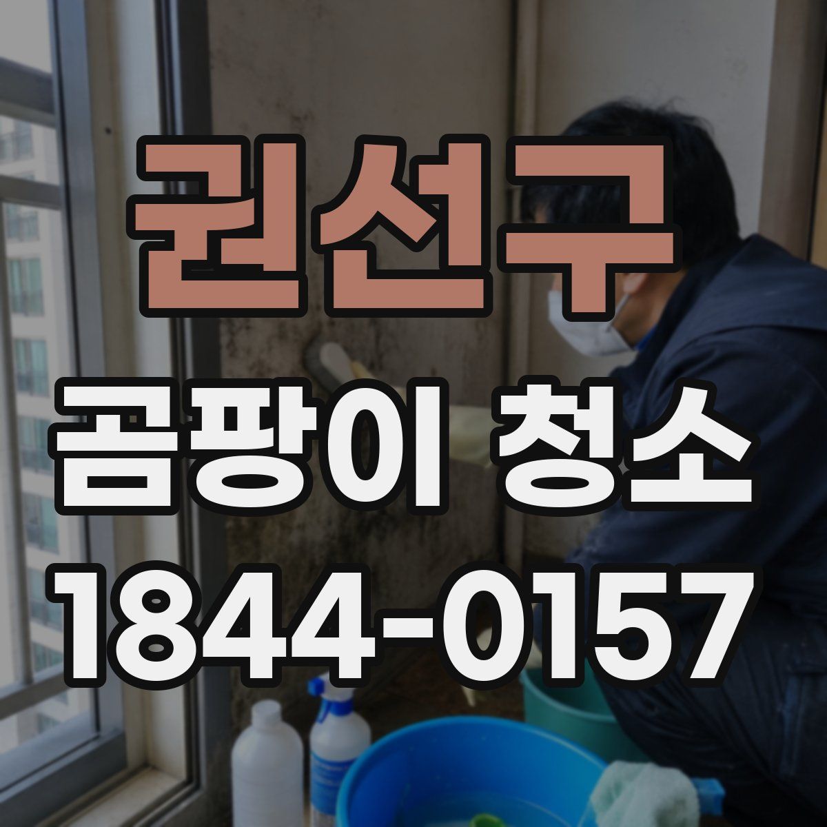 권선구 곰팡이 청소