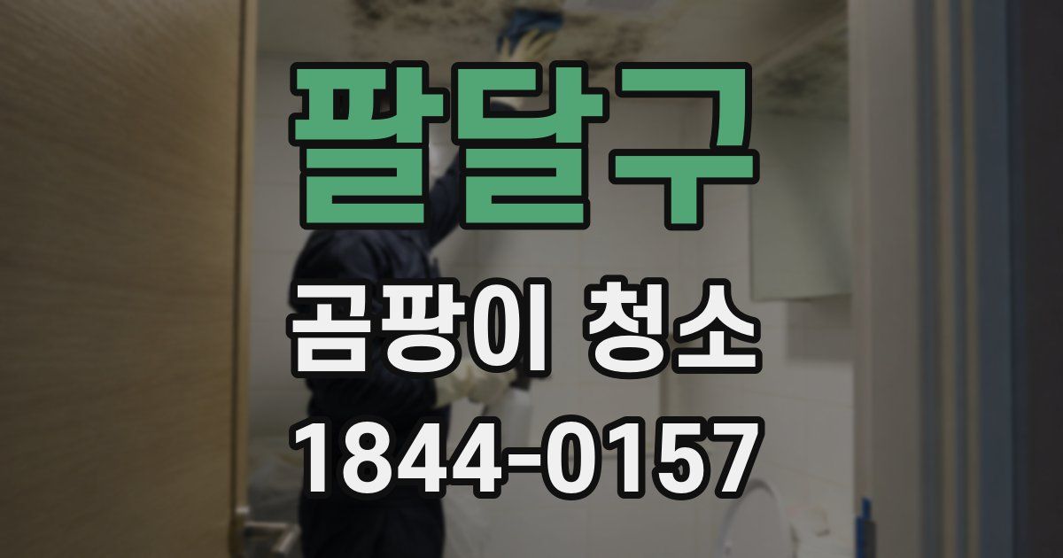 팔달구 곰팡이 청소