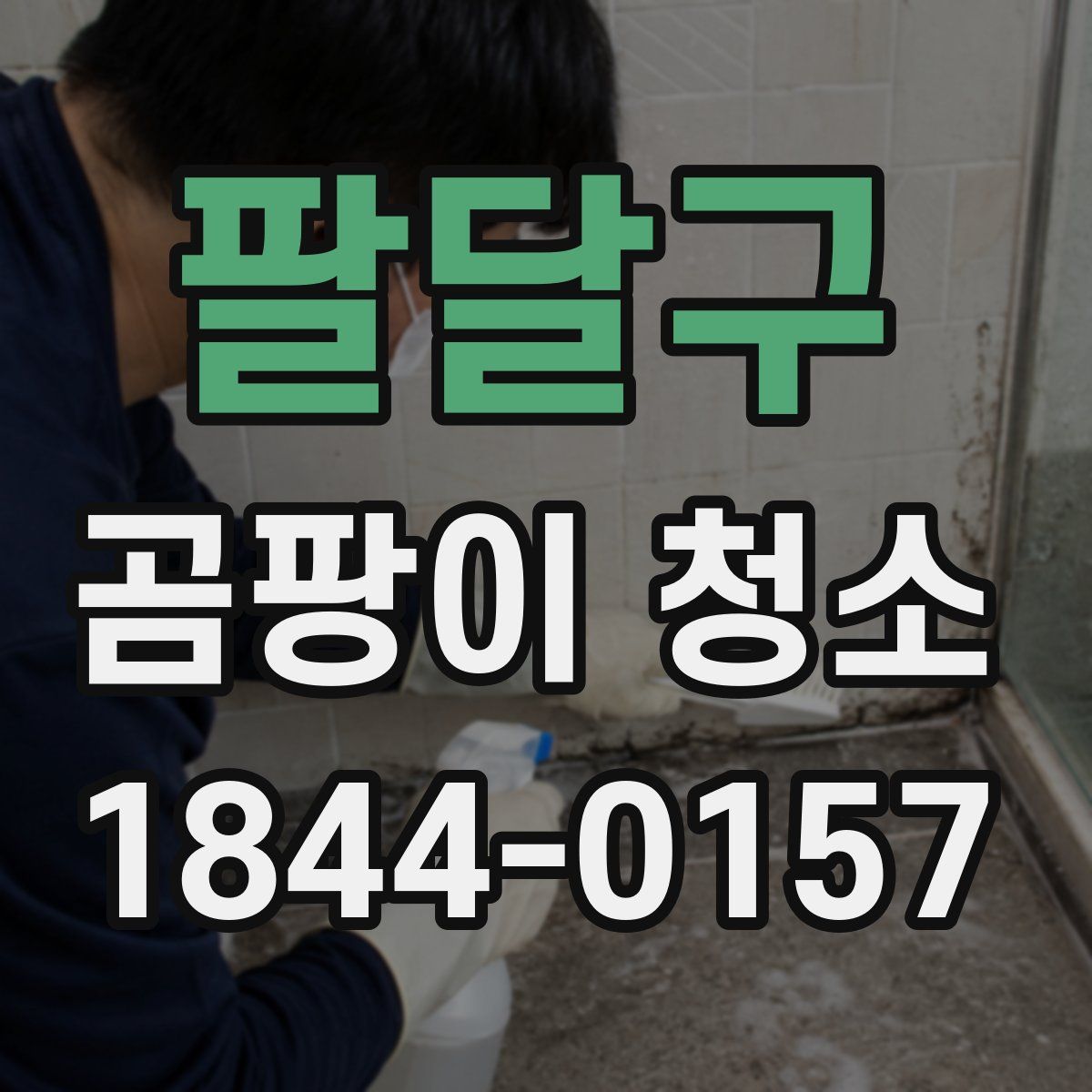 팔달구 곰팡이 청소