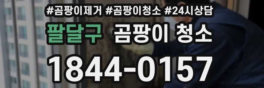 팔달구 곰팡이 청소