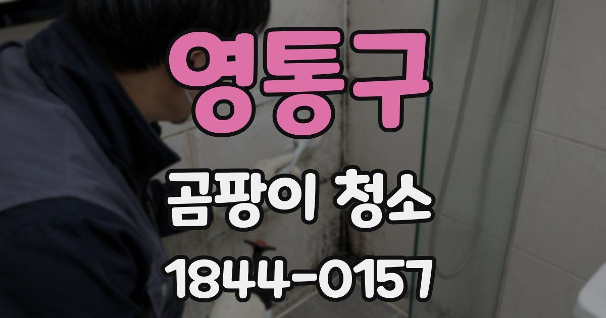 영통구 곰팡이 청소