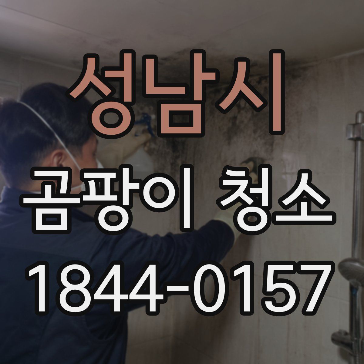 성남시 곰팡이 청소