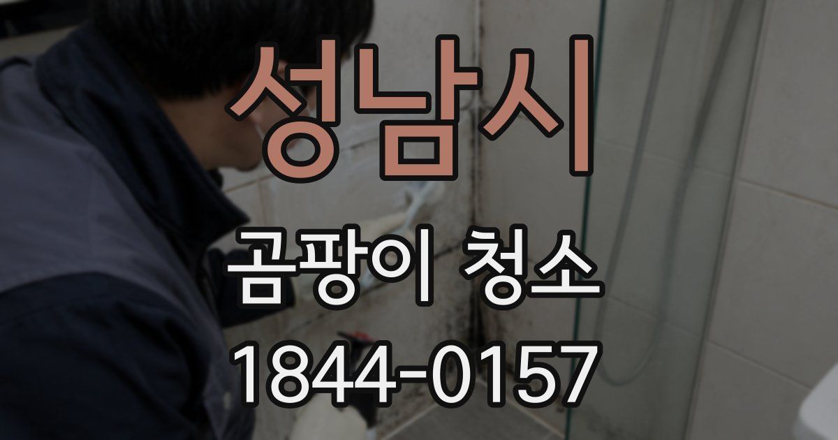 성남시 곰팡이 청소