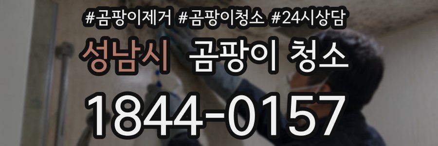 성남시 곰팡이 청소