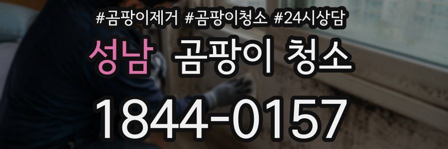 성남 곰팡이 청소