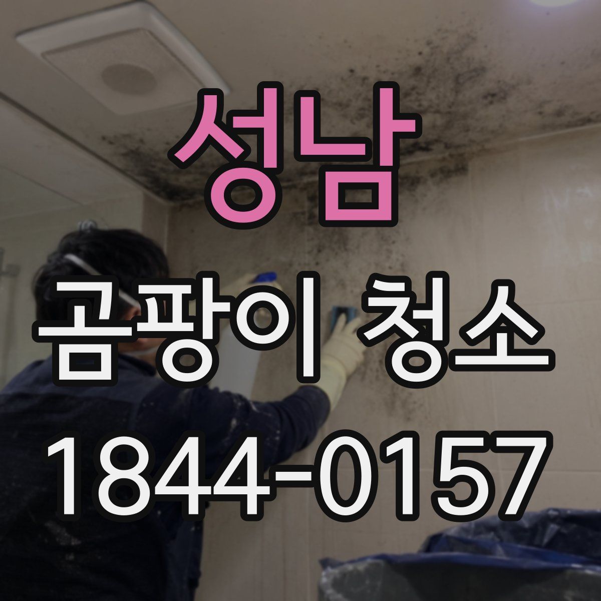 성남 곰팡이 청소