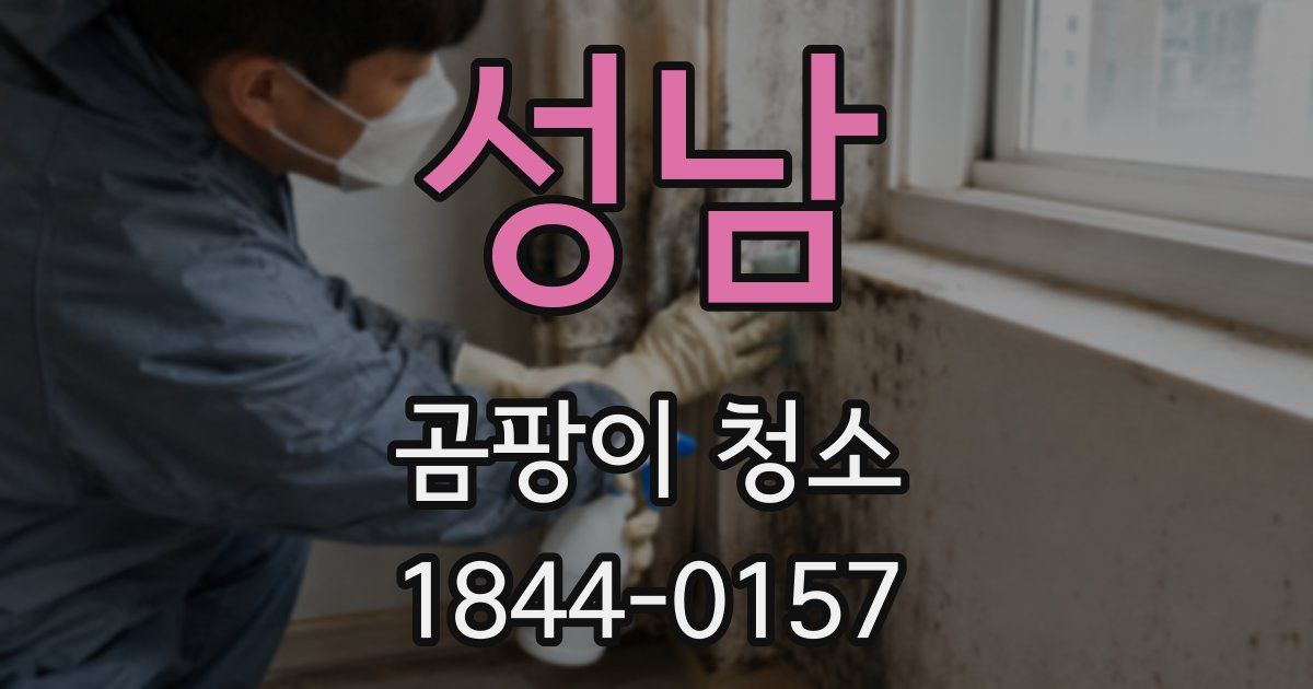 성남 곰팡이 청소