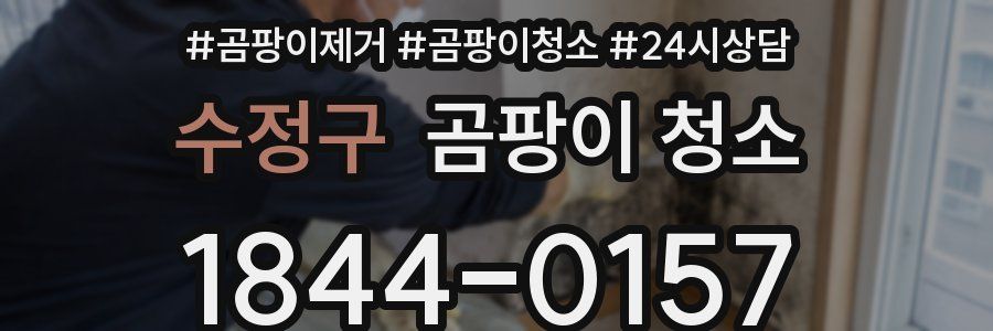 수정구 곰팡이 청소