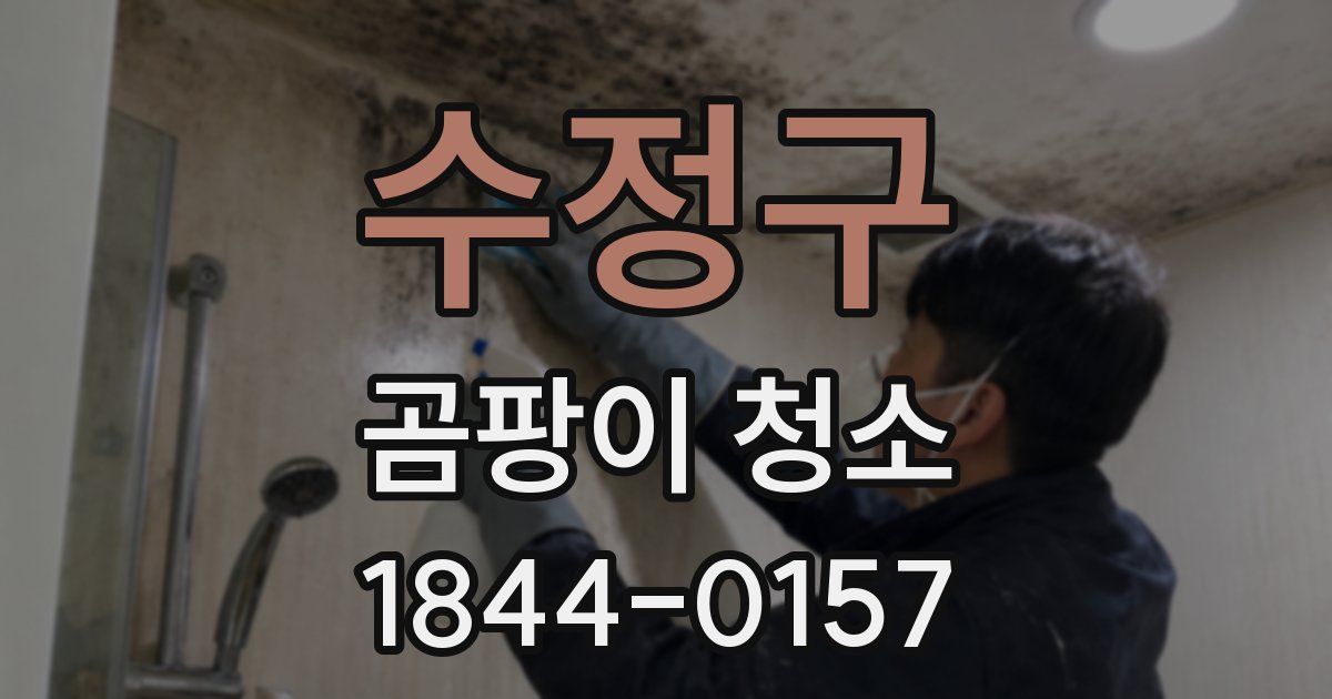 수정구 곰팡이 청소