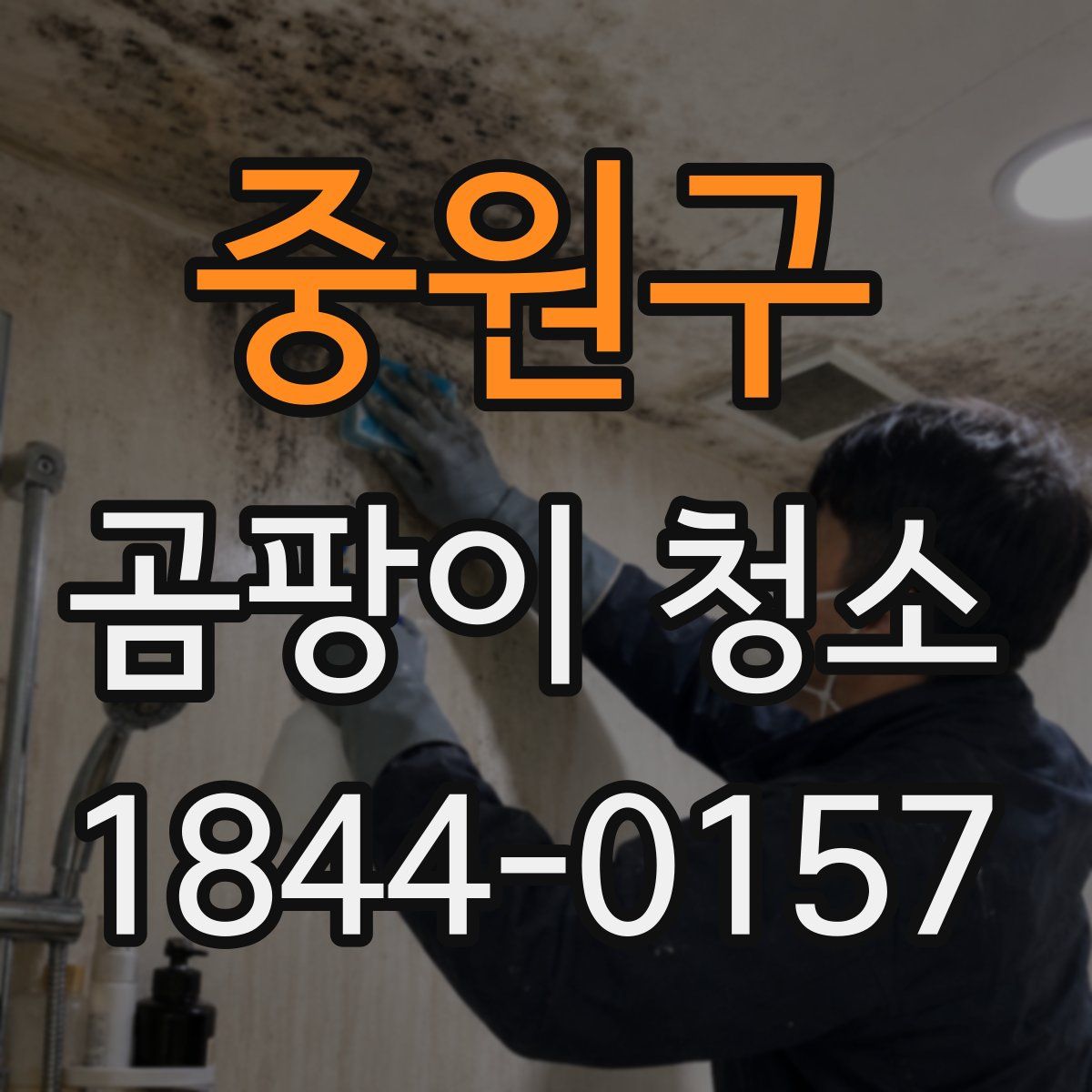 중원구 곰팡이 청소