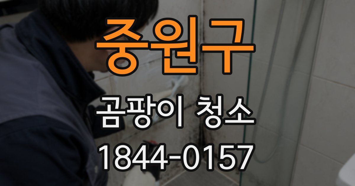 중원구 곰팡이 청소