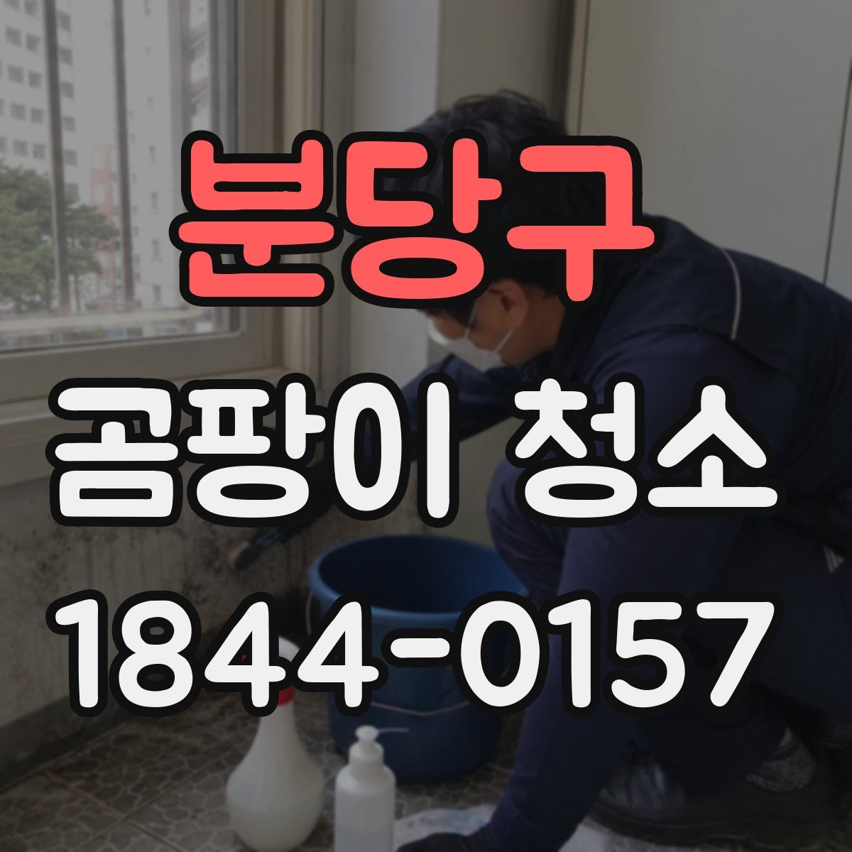 분당구 곰팡이 청소