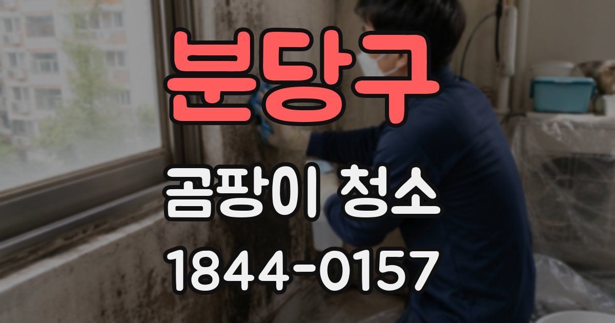 분당구 곰팡이 청소