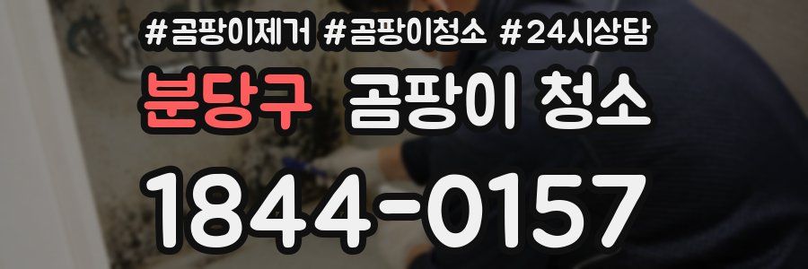 분당구 곰팡이 청소