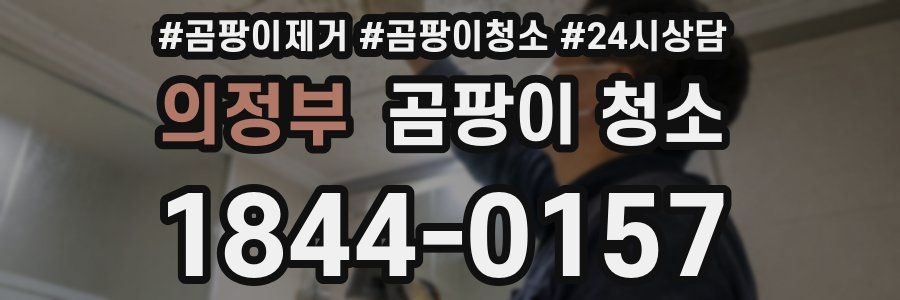의정부 곰팡이 청소