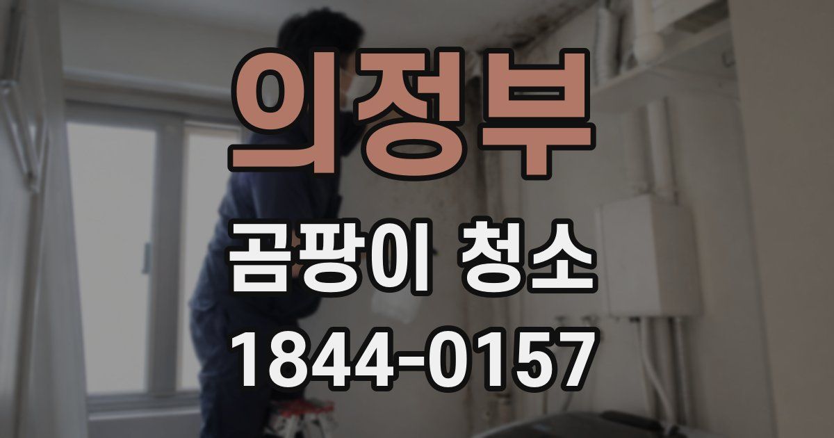 의정부 곰팡이 청소
