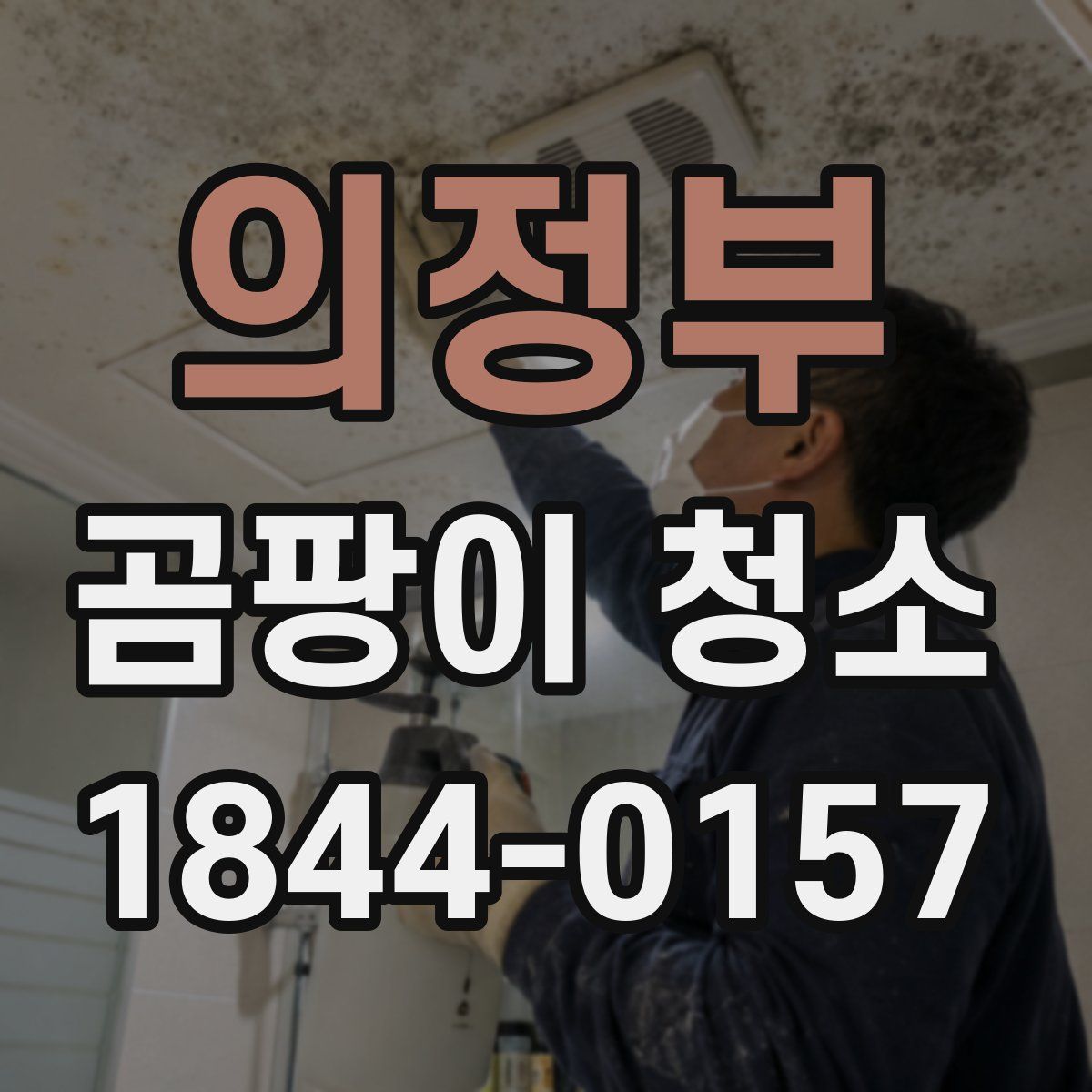 의정부 곰팡이 청소