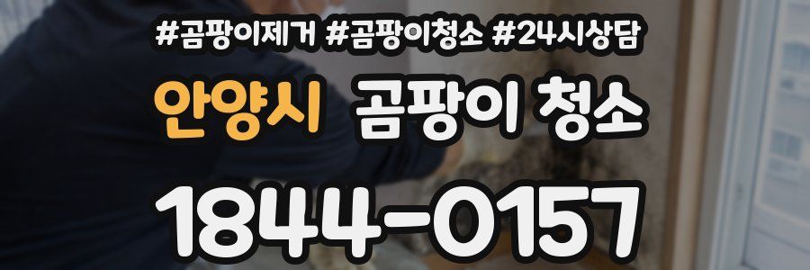 안양시 곰팡이 청소
