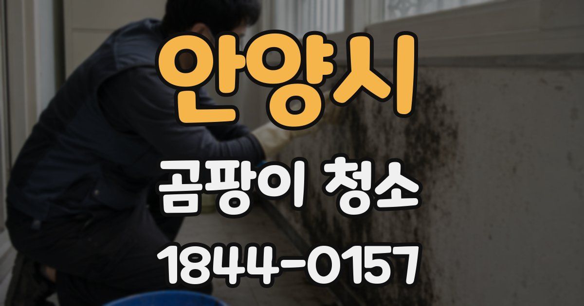 안양시 곰팡이 청소