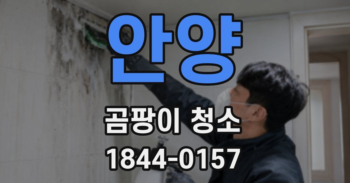 안양 곰팡이 청소