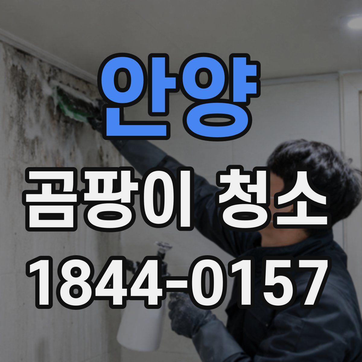 안양 곰팡이 청소