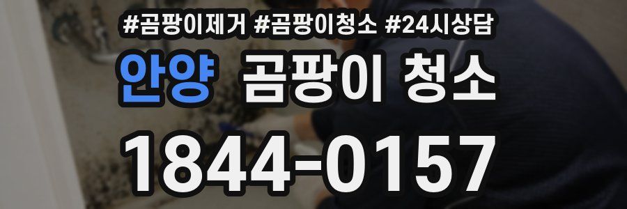 안양 곰팡이 청소