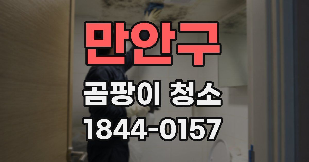 만안구 곰팡이 청소