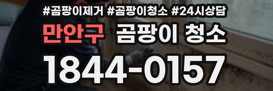 만안구 곰팡이 청소