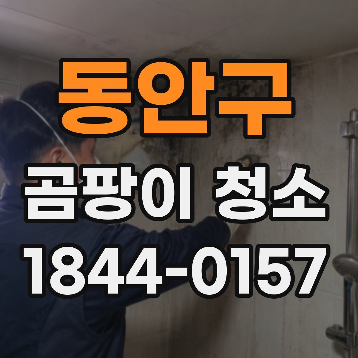 동안구 곰팡이 청소