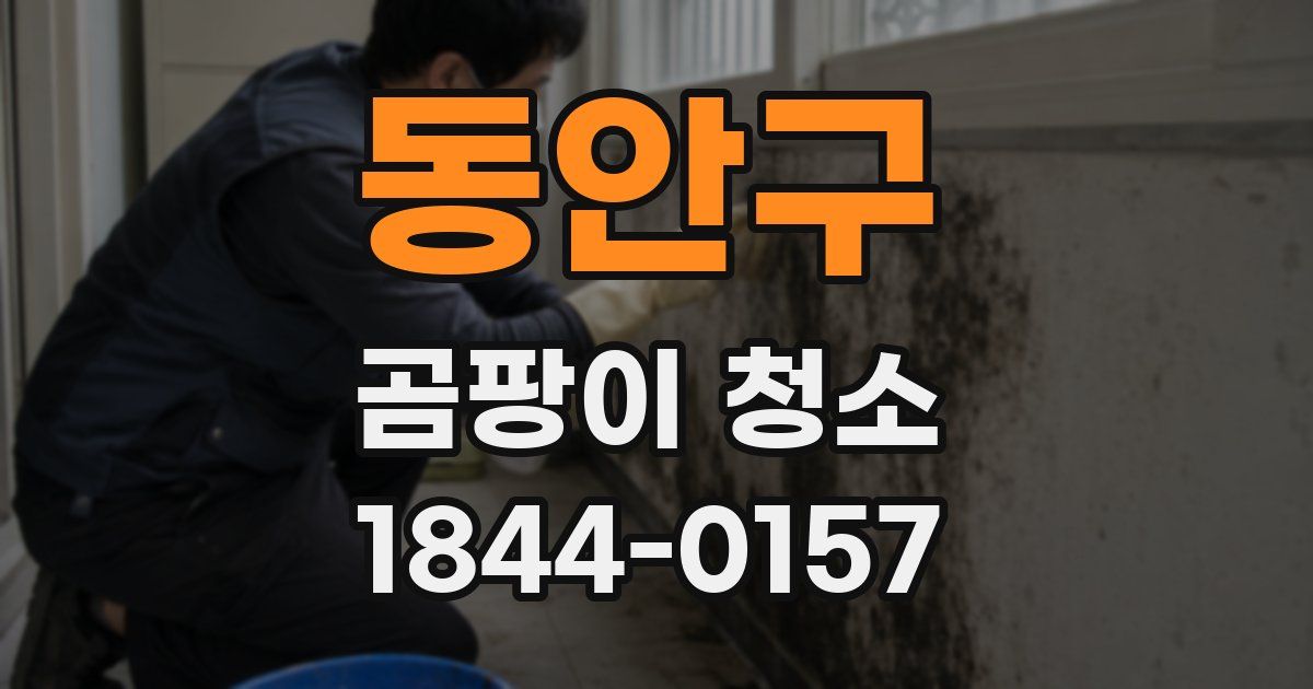 동안구 곰팡이 청소