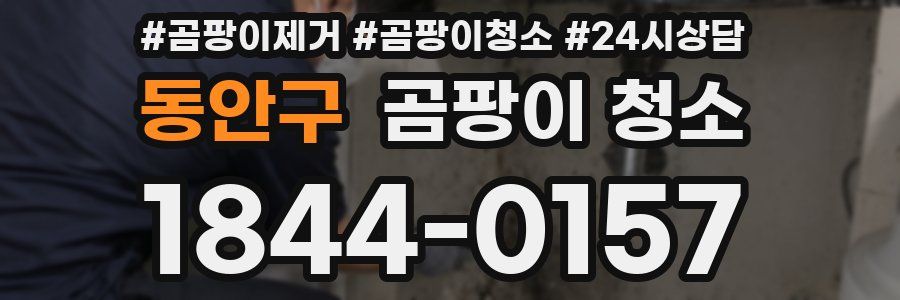 동안구 곰팡이 청소