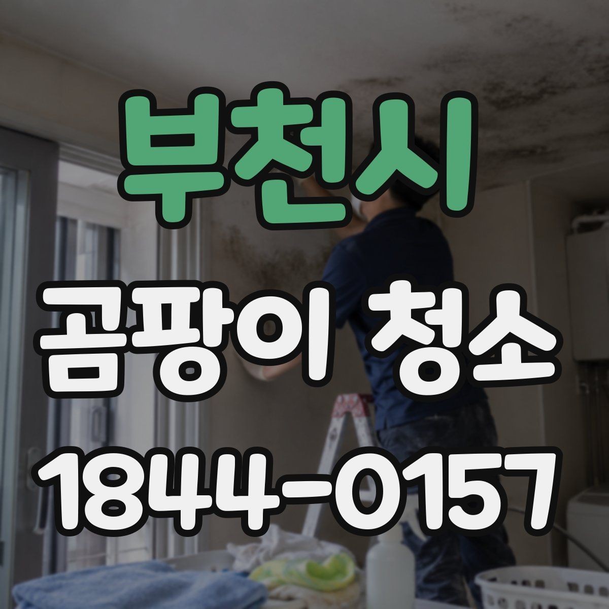 부천시 곰팡이 청소 결로가 잦은 벽면 점검 순서