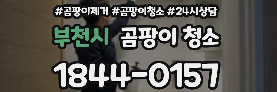 부천시 곰팡이 청소