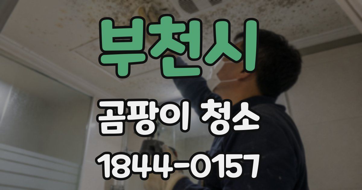 부천시 곰팡이 청소