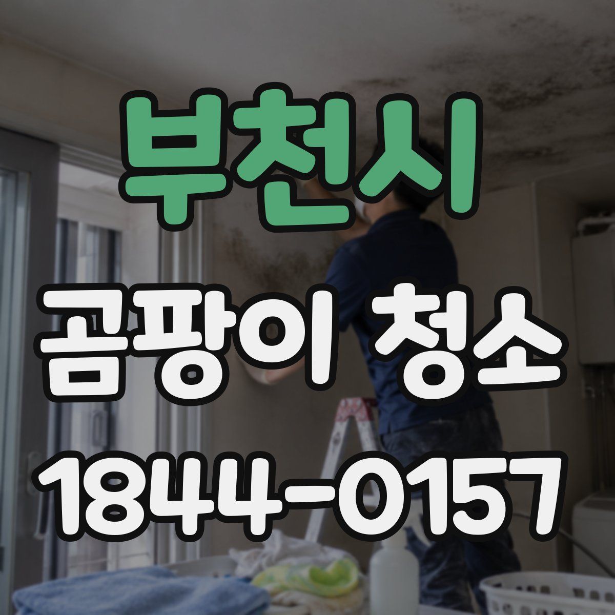 부천시 곰팡이 청소