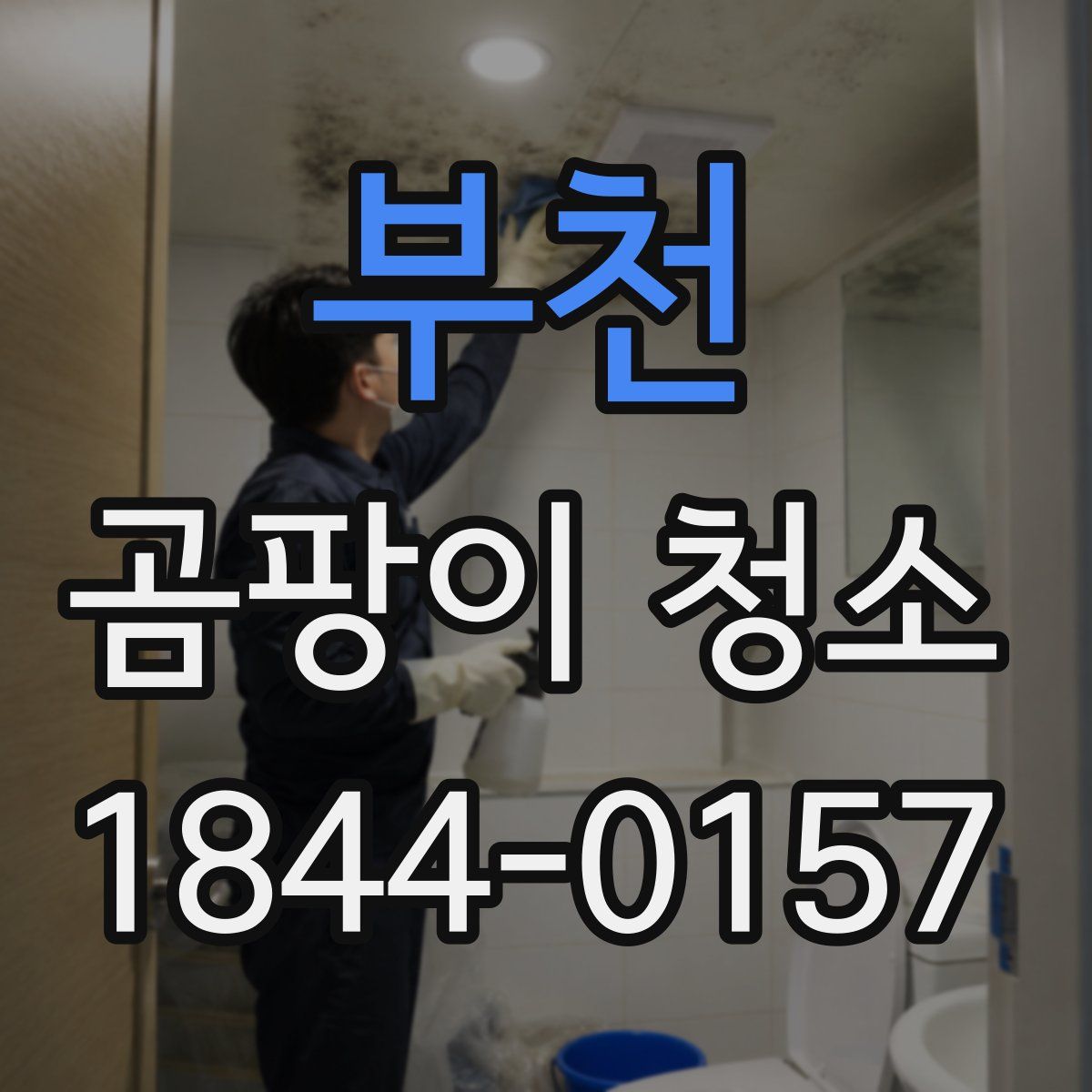 부천 곰팡이 청소