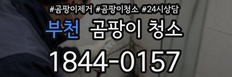 부천 곰팡이 청소