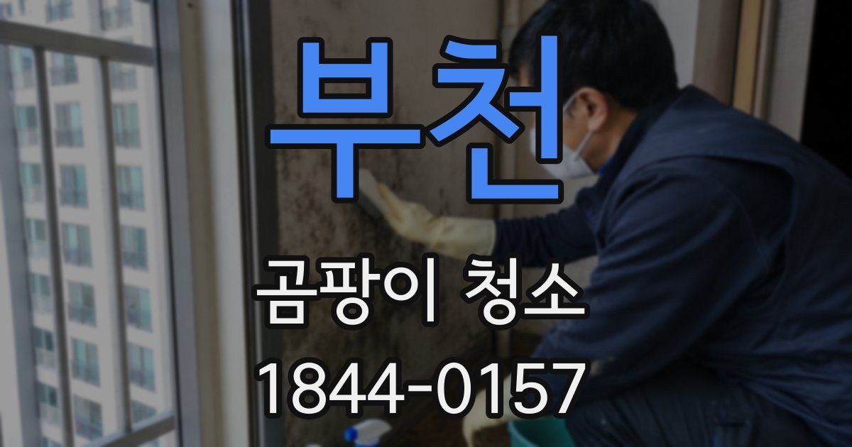 부천 곰팡이 청소