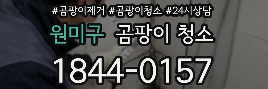 원미구 곰팡이 청소