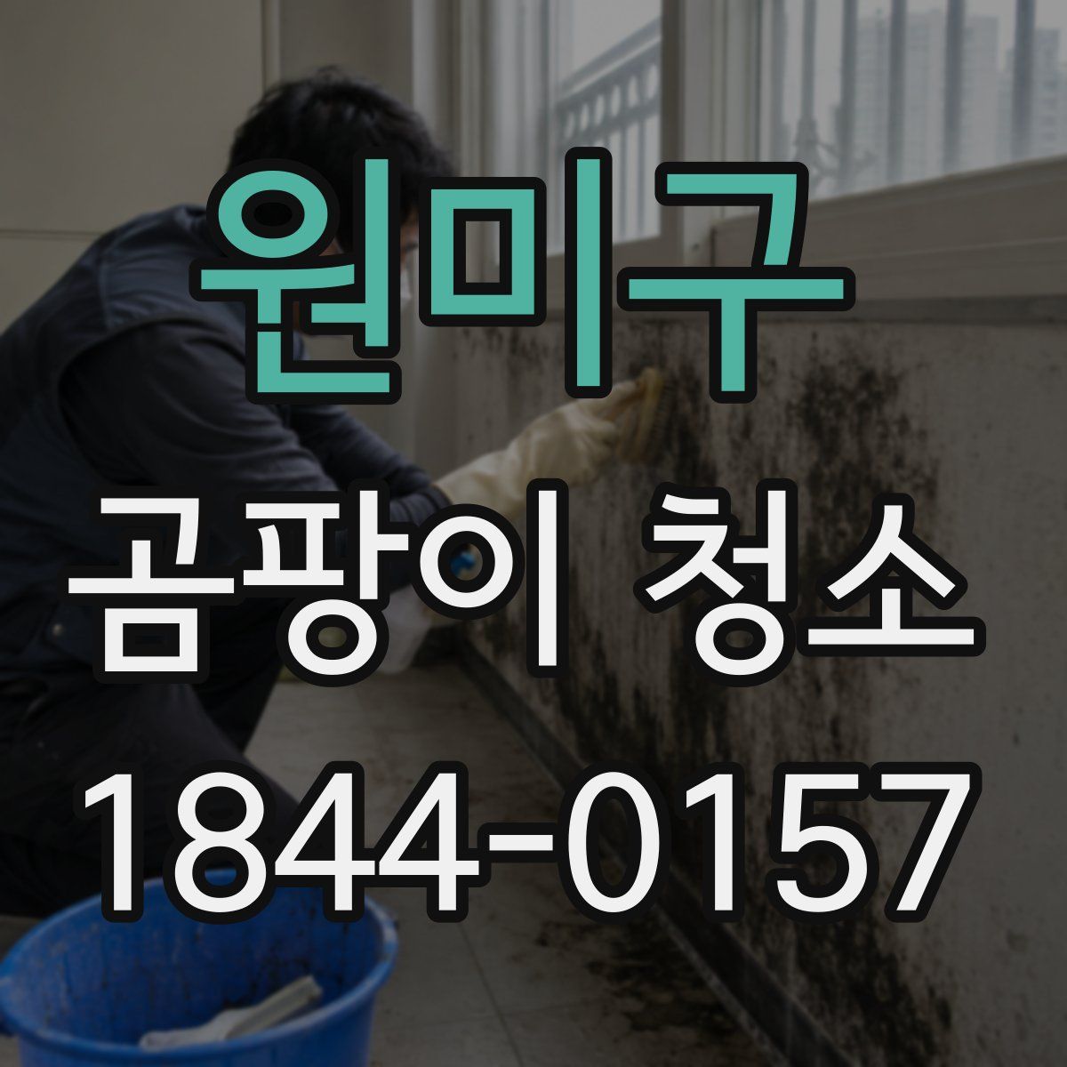 원미구 곰팡이 청소