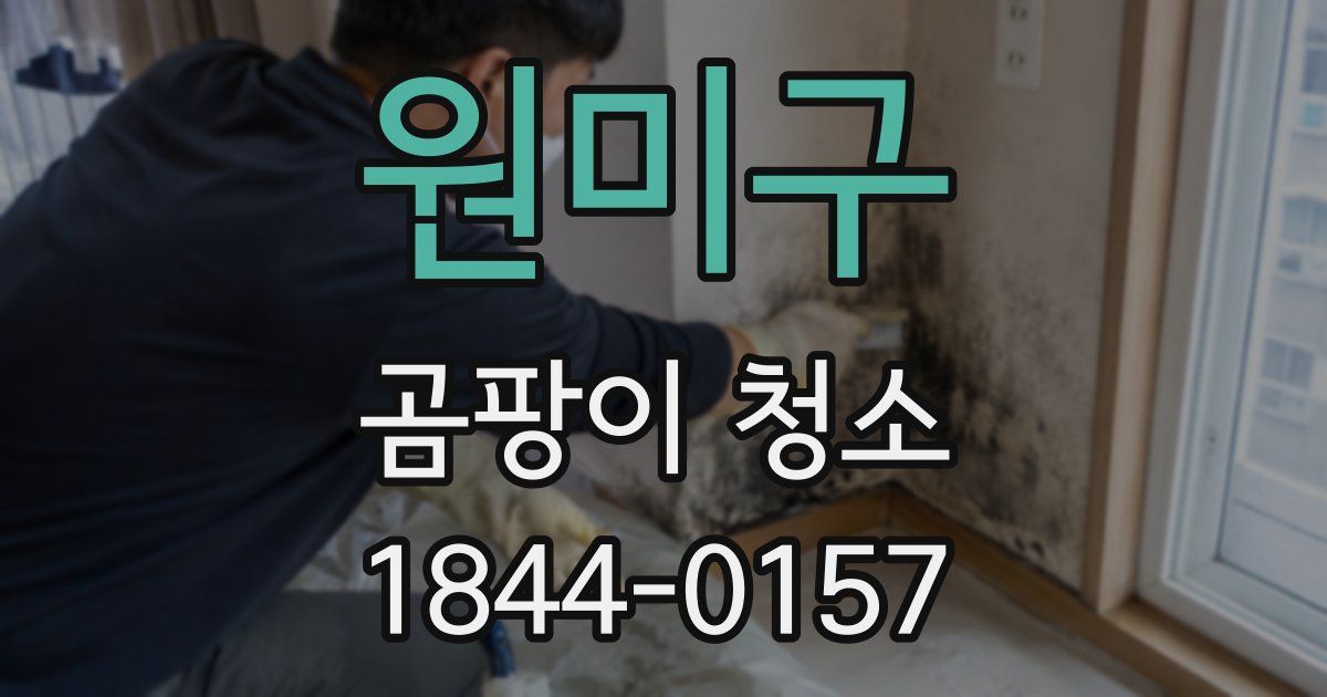 원미구 곰팡이 청소