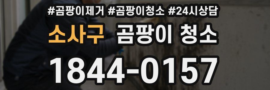 소사구 곰팡이 청소