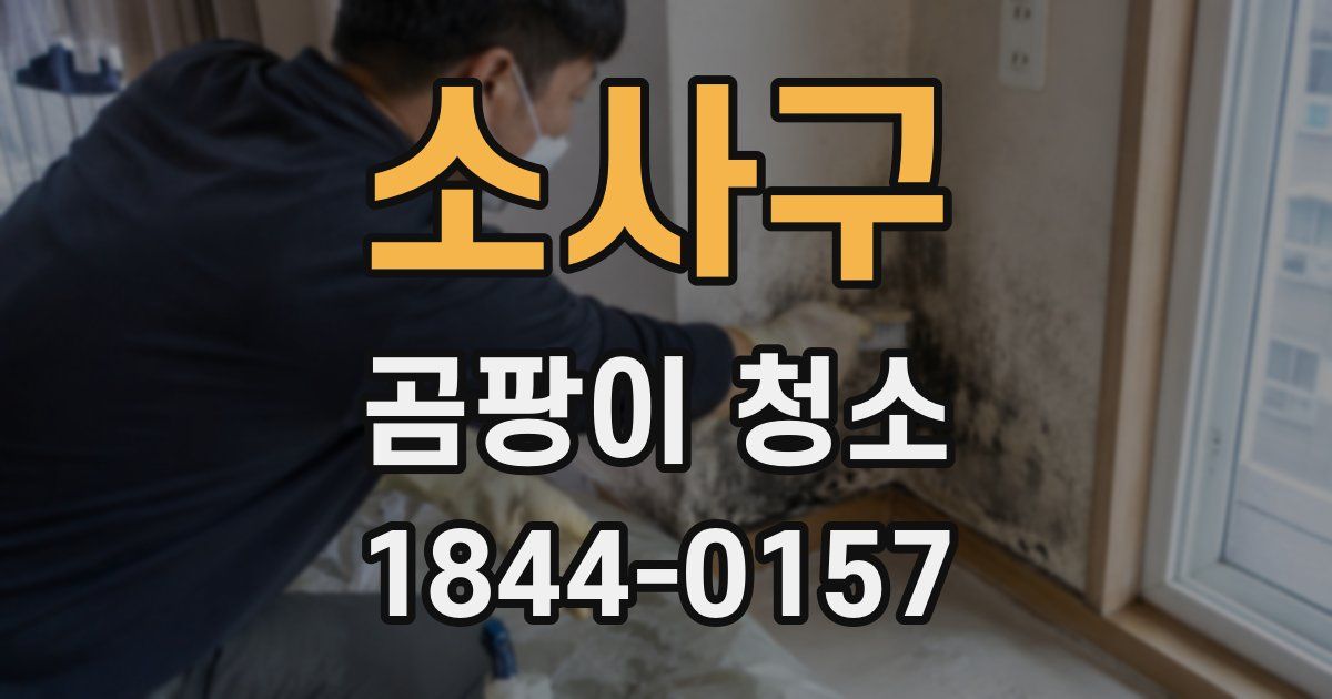 소사구 곰팡이 청소