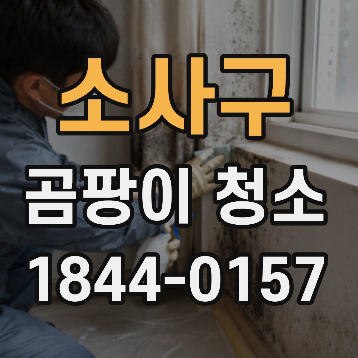 소사구 곰팡이 청소