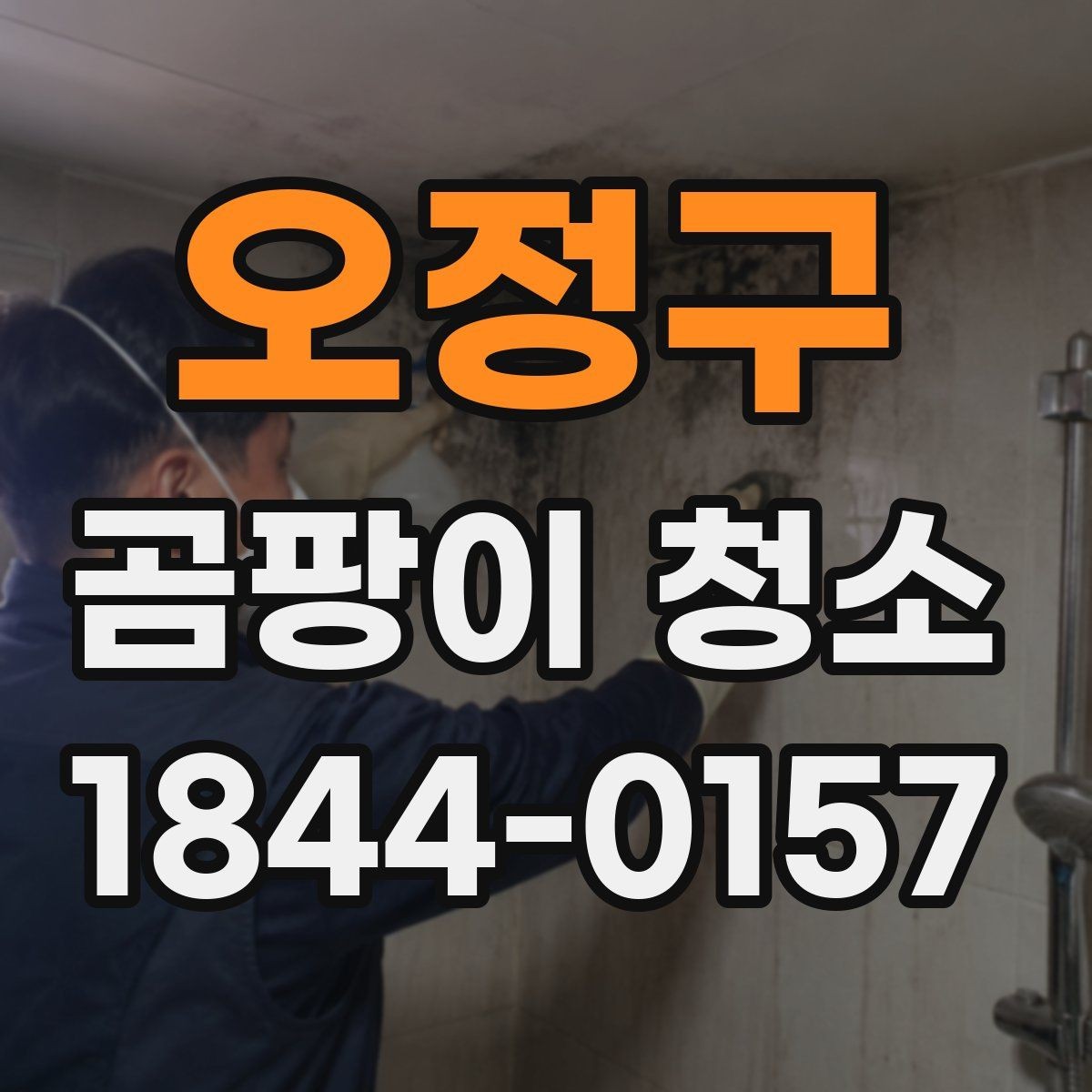 오정구 곰팡이 청소 오염이 남는 벽지와 목재의 차이